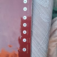 Menu at Haldi Ristorante Indiano in Milan