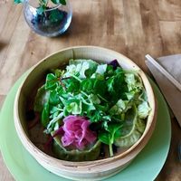 Vegan dumplings at Zest in Karlstad