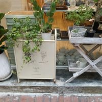  at Cafe Zi - 梔子 in Kowloon