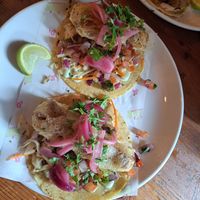 Beer battered banana blossom tacos at Antojitos in Glasgow