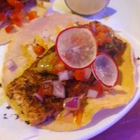 Terrible photo of the Blackened Tofu Asada Tacos - delicious at Antojitos in Glasgow