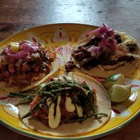 Three different Tacos at Antojitos in Glasgow