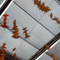 Origami in the ceiling at Skyline Sushi in Amman