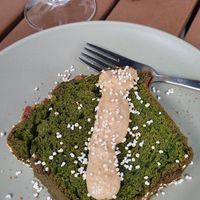 Matcha at Santas Plantas in Mexico City
