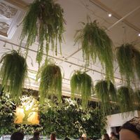 Interior at Alcove Kitchen + Bar in Cincinnati