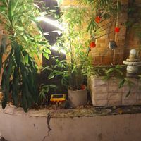  at Mầm Vegetarian in Phu Nhuan