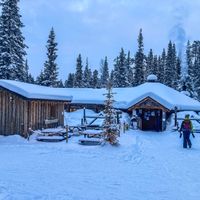 Kotta   at Velhonkota Oy in Aekaeslompolo
