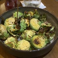 Brussels   at Highball & Harvest in Orlando