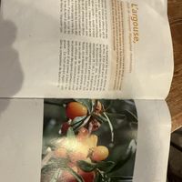 A book about some of their ingredients   at Le Champ du Vagabond in Briancon