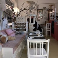 Cat  at Bystrokočko in Ceske Budejovice