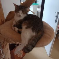  at Bystrokočko in Ceske Budejovice