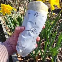 Crispy vegan wrap take away at Tasty Bruges in Bruges