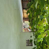  at Cafe Solomons in Hikkaduwa
