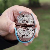  at Another Vegan Cookie - Pop Up in Columbus