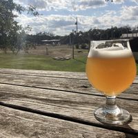 View from beer garden  at Jester King in Austin