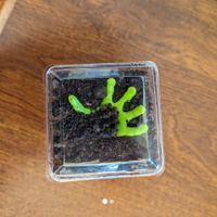 Spooky dirt cup at Zephie's Cakes and Desserts in Westerville