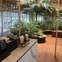 In groene sferen is het echt genieten   at Bakkerij Westers in Amsterdam