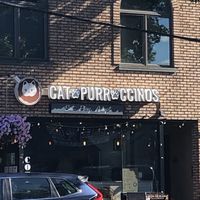 Front door   at Catpurrccinos in Huntington