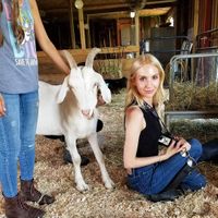 Steve at Barn Sanctuary in Chelsea