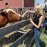 Residents at Barn Sanctuary at Barn Sanctuary in Chelsea