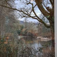 Blick auf den Tabaksweiher, selbst im trüben Winter schön! at Tabaksmühle in Saarbrucken