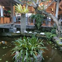  at Ganesh Lodge in Candidasa