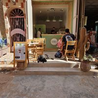 Front at Le Acai Cafe in Tamraght