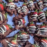  at Wild Seed Kitchen in Rochester