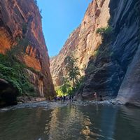  at Vegan Basecamp in Las Vegas