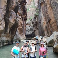  at Vegan Basecamp in Las Vegas