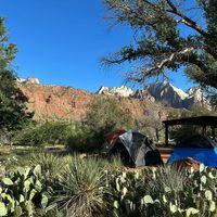 Beautiful group campgrounds @ Zion.  at Vegan Basecamp in Las Vegas