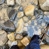   at Vegan Basecamp in Las Vegas