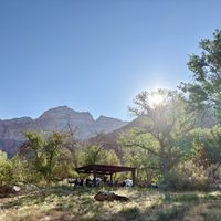   at Vegan Basecamp in Las Vegas