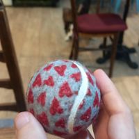 Dog friendly at The Good Apple Cafe in Sunderland