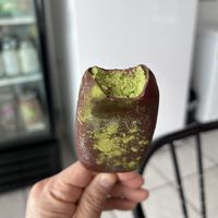 Matcha ice cream popp  at Bocaflor in Chihuahua
