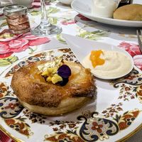 Delicious apricot and almond tart with almond cream at The Animal Rescue Vintage Tea Room @ Heath - Pop-up in Chesterfield