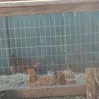 Outsideo at CommonWealth Coffeehouse & Bakery in San Antonio