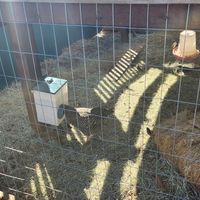 Outside o at CommonWealth Coffeehouse & Bakery in San Antonio