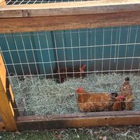Outside at CommonWealth Coffeehouse & Bakery in San Antonio