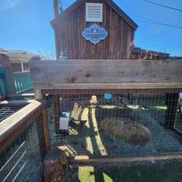 Outside at CommonWealth Coffeehouse & Bakery in San Antonio