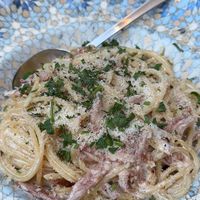   at TWO SIX NINE in Frankfurt