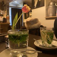   at TWO SIX NINE in Frankfurt