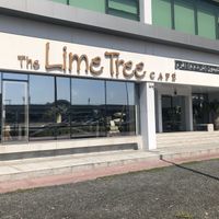 The venue  at The Lime Tree Cafe - Sheikh Zayed Road  in Dubai