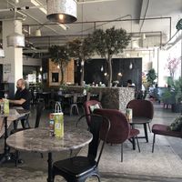 The interior   at The Lime Tree Cafe - Sheikh Zayed Road  in Dubai