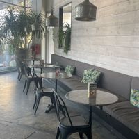 Inside  at The Lime Tree Cafe - Sheikh Zayed Road  in Dubai