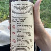 GT rootbeer   at Syracuse Cooperative Market in Syracuse