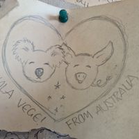 Koala and pig at Vege Fast Food in Split