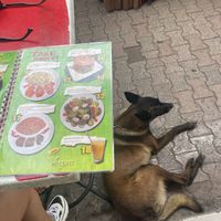 💚 at Vege Fast Food in Split