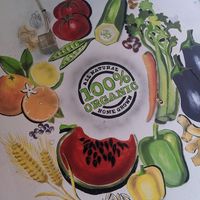 Wall at Vege Fast Food in Split