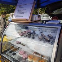 Yunmmm raw desserts at Simply Raw Living in Dunedin